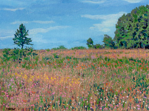 Wildflower Field