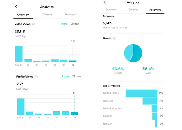 TikTok Analytics将会提供多个维度供用户评估账号表现