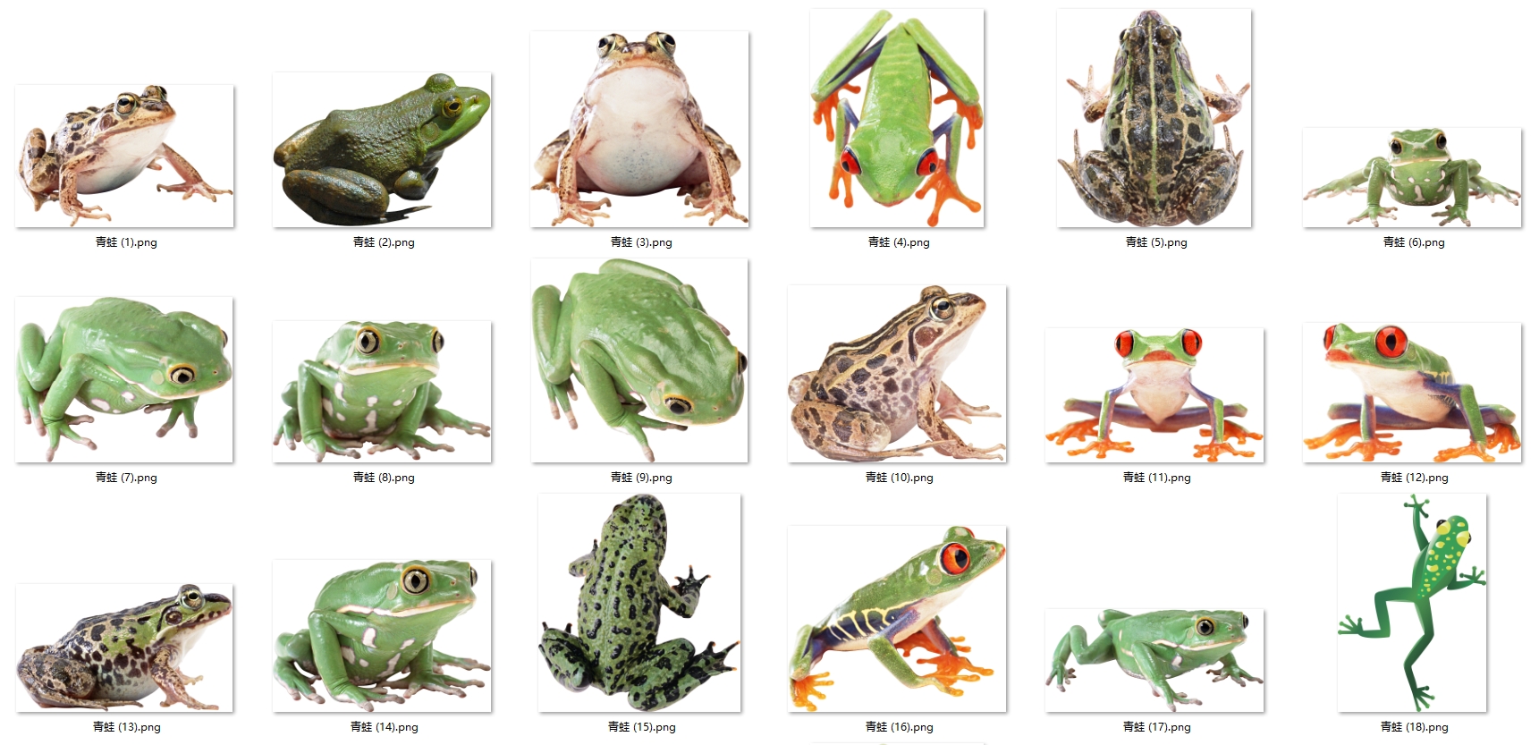 最全精分类的各种动物免抠PNG透明图片素材